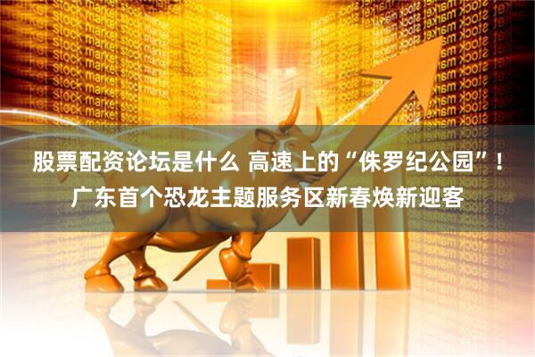 股票配资论坛是什么 高速上的“侏罗纪公园”！广东首个恐龙主题服务区新春焕新迎客