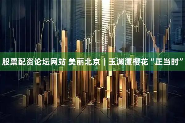 股票配资论坛网站 美丽北京｜玉渊潭樱花“正当时”