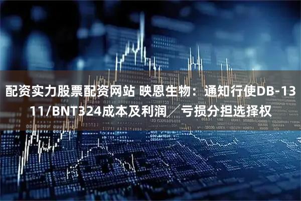 配资实力股票配资网站 映恩生物：通知行使DB-1311/BNT324成本及利润╱亏损分担选择权
